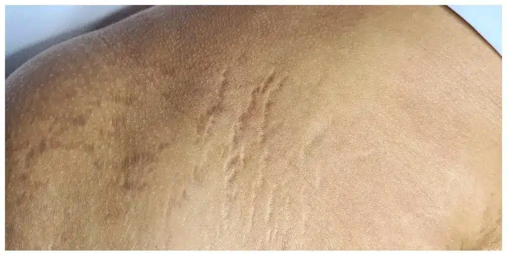 bloomea efekt przed bloomea efekt przed